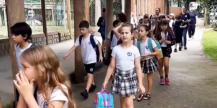 alunos passeando no zoo 